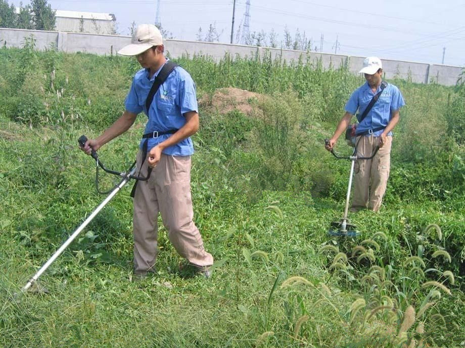 割草机斜跨式割草机斜跨是割草机价格斜跨式割草机厂家