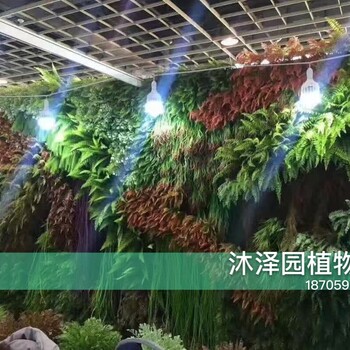 我司承接綠墻、植物墻等