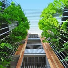 梵景绿墙实际应用中有哪几种几种垂直绿化类型