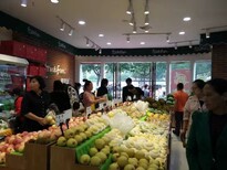 时尚加盟水果之旅，果缤纷品牌连锁进驻武汉图片2