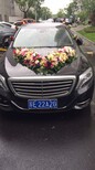 奔驰S300L轿车型图片4