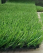 幼儿园人造草25mm景观草坪人造草坪地毯