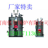 河南蒸汽发生器厂家供应燃气100公斤蒸汽发生器图片2