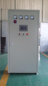 供應(yīng)新款環(huán)保型全自動(dòng)大型蒸汽機(jī)