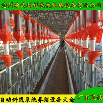 猪场自动化上料料线供料设备定位栏料线利祥农牧