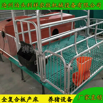 免费提供样品母猪产床厂家质量有保障双体猪用产床