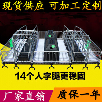 承接各种猪场设计安装养猪设备母猪产床尺寸双体复合板母猪产床价格
