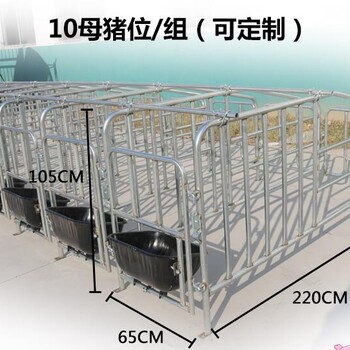母猪定位栏选择优势可以防止母猪流产保胎定位栏限位栏