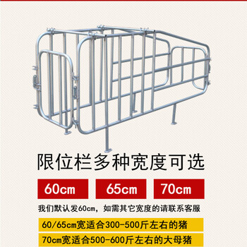 陕西渭南老母猪限位栏一组10个猪位内外镀锌母猪定位栏包邮