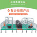 四川德阳地区销售母猪产床价格双体复合猪用产床厂家