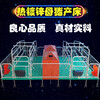 广元母猪限位栏连体产床厂家复合板养猪设备一站式供应