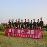 深圳团队活动户外拓展训练大鹏农家乐野炊周边一日游