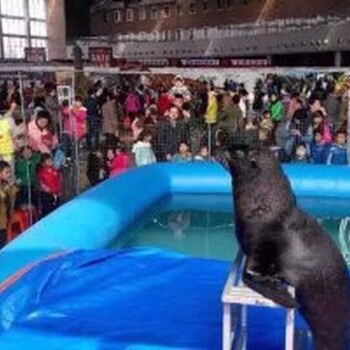 海狮表演出租海洋展鱼缸海洋生物观赏出租租赁