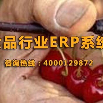 食品行业ERP食品厂管理系统食品贸易公司ERP就找北京达策