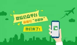 APP开发，小程序开发，定制开发1020图片3