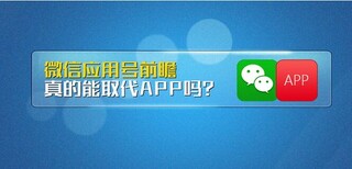 APP开发，小程序开发，定制开发1031图片2