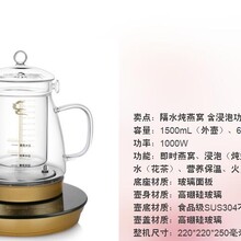 蘇州輝騰商貿有限公司--位美養生壺圖片