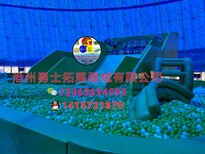 小勇士入驻湖北丹江口市习家店镇茯苓村农博园图片3