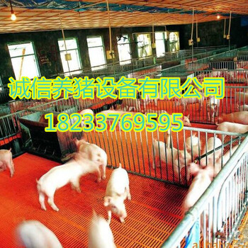 畜牧业机械养猪设备仔猪保育床价格范围双体复合漏粪板小猪保育床作用