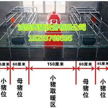 多功能双体复合板母猪产床多少钱一套泊头诚信养猪设备有限公司今日报价