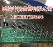 养猪场智能化设备母猪定位栏厂家批发优质复合板母猪限位栏