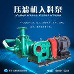 65ZJW-II压滤机入料泵加压杂质泵洗煤泵
