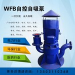 80WFB-BD无密封自控自吸泵化工泵脱硫泵