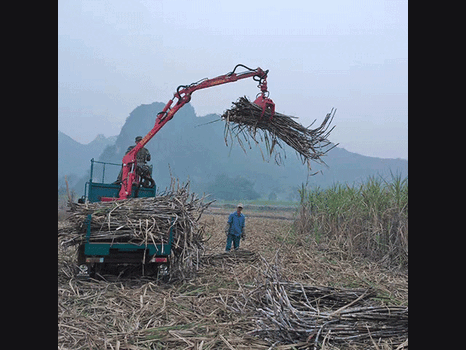 阳泉价格低廉的抓蔗机生产商