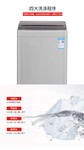 广东TCLXQB65-B01T投币洗衣机，6.5公斤全自动洗衣机商用波轮洗衣机全国联保