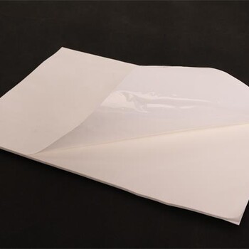 白色PE高粘纸本厂家全国供货
