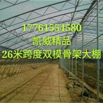 黑龙江双膜骨架温室大棚生产厂家