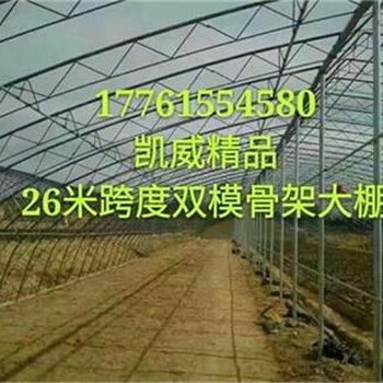 凯威设计加工双模骨架大棚