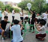 深圳周边亲子班级秋游户外活动组织亲子团队拓展