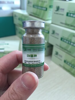 养猪用益生菌饮水拌料每公斤用量多少成本多少