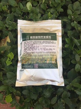 正确储存玉米秸秆做饲料的技术方法