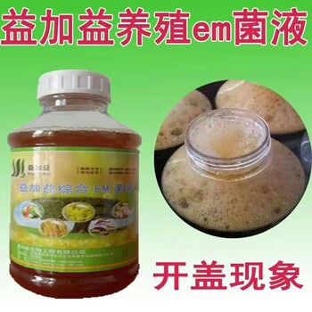 黄粉虫养殖少不了使用益加益微生物em菌