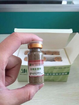 制作发酵床养鸭需要哪些材料真的可以分解粪便吗