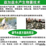 益加益水产菌种养鱼虾效果不错价格便宜