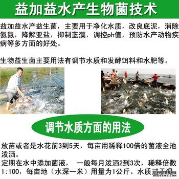 益加益水产菌种养鱼虾效果不错价格便宜