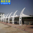 荆州膜结构遮阳棚厂家图片