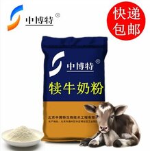 牛犊可以喂奶粉吗图片