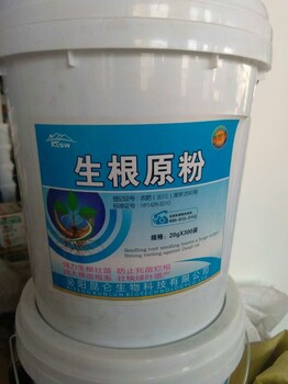 生根粉哪個品牌好快速生根用什么產(chǎn)品好