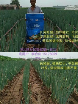 地老虎防治肥地下害蟲藥一管到底廠家價(jià)位