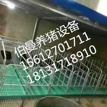 母猪限位栏产床规格厂家供应