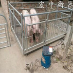 江苏常州3吨_3000kg1.51.5米带围栏地磅价格活猪称重磅秤