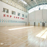 山东潍坊羽毛球馆运动木地板厂家全覆盖图片5