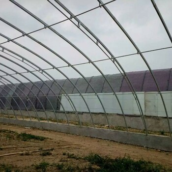 邯鄲承接陽(yáng)光溫室薄膜溫室大棚施工安裝