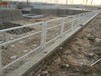 建筑基坑护栏网建筑施工安全围挡建筑工地警示围栏