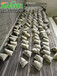 粽子水饺速冻机设备佳美定制专业生产的速冻机设备厂家