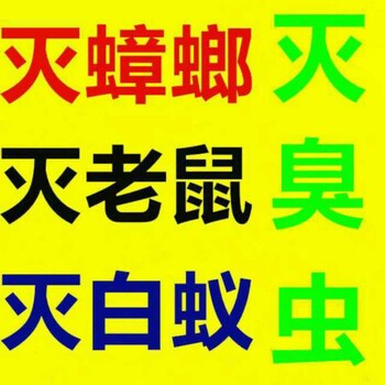 灭蟑螂、老鼠、蚂蚁，臭虫等有害生物